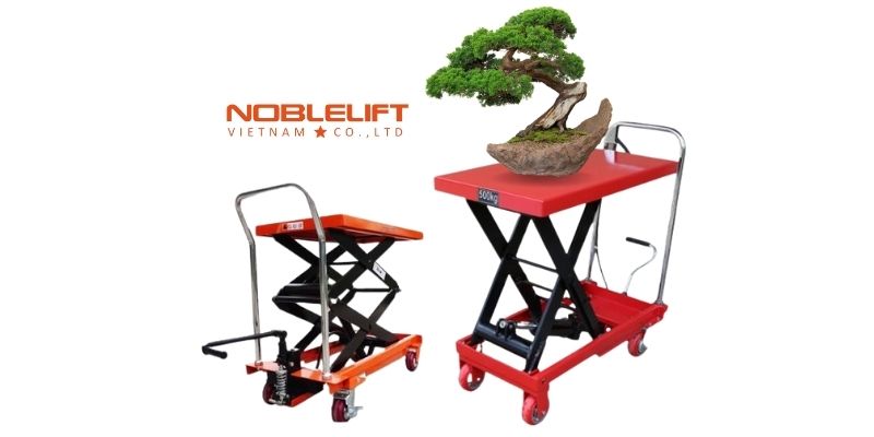 tổng quan xe nâng cây cảnh cũ