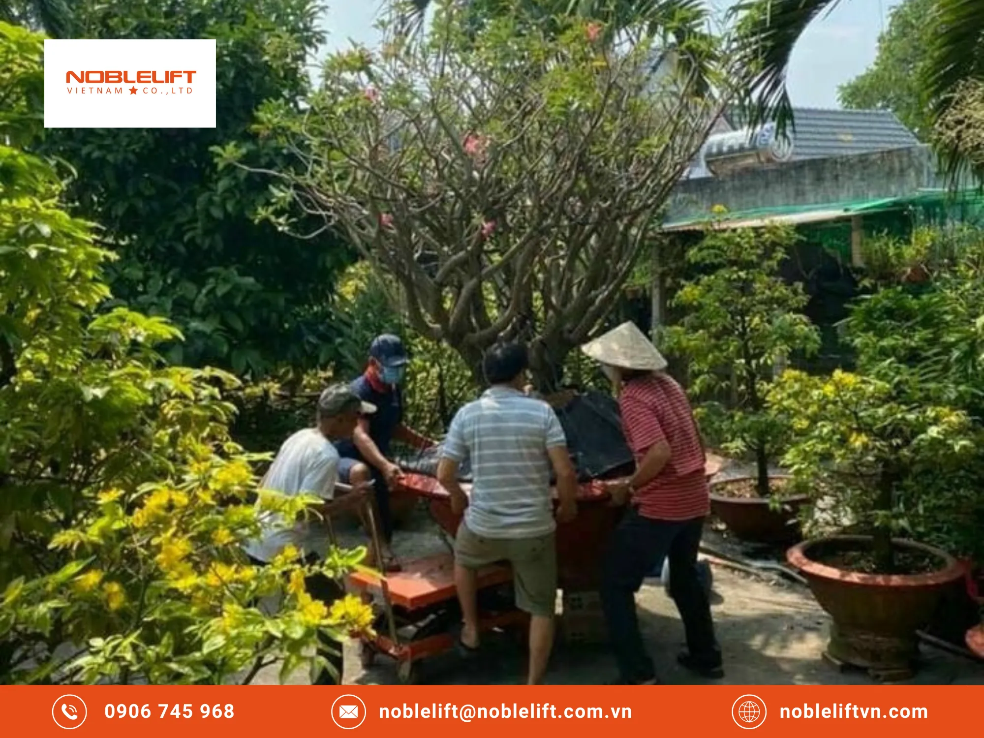 Điều Gì Khiến Xe Nâng Noblelift Được Doanh Nghiệp Tin Dùng Nhờ Sự Đa Dạng Dòng Xe?