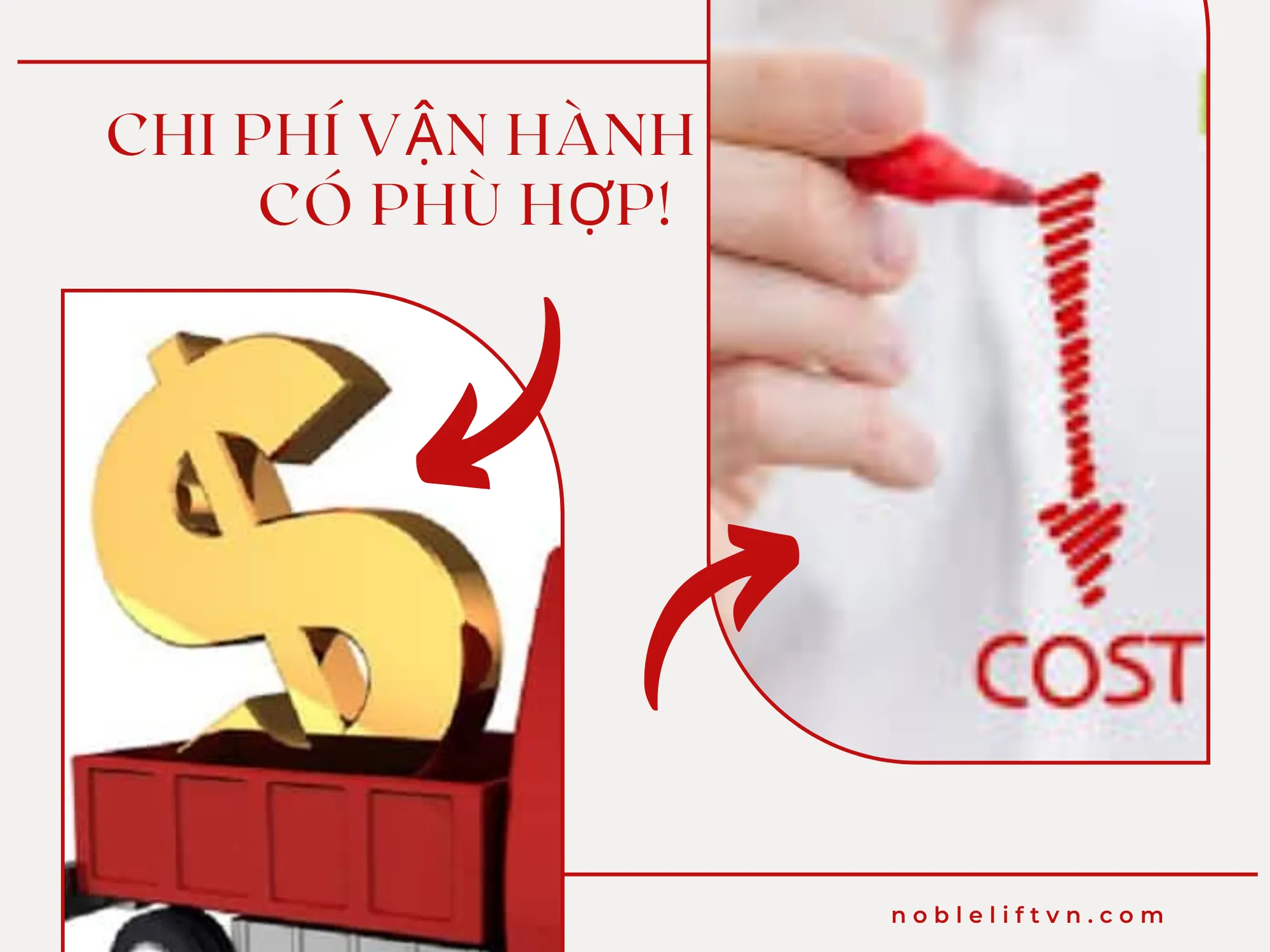 Phân tích chi phí vận hành khi chọn xe nâng đứng lái hay ngồi lái cho kho hàng