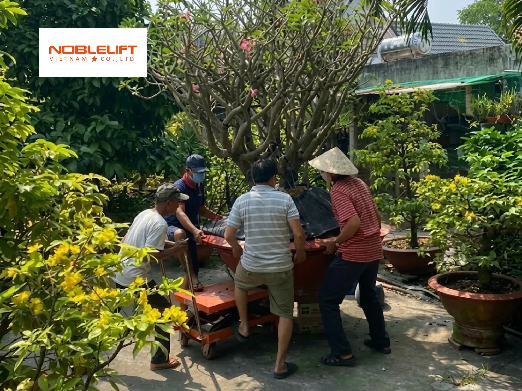 Top 5 ứng dụng tuyệt vời của xe nâng mặt bàn trong ngành cây cảnh và vườn ươm
