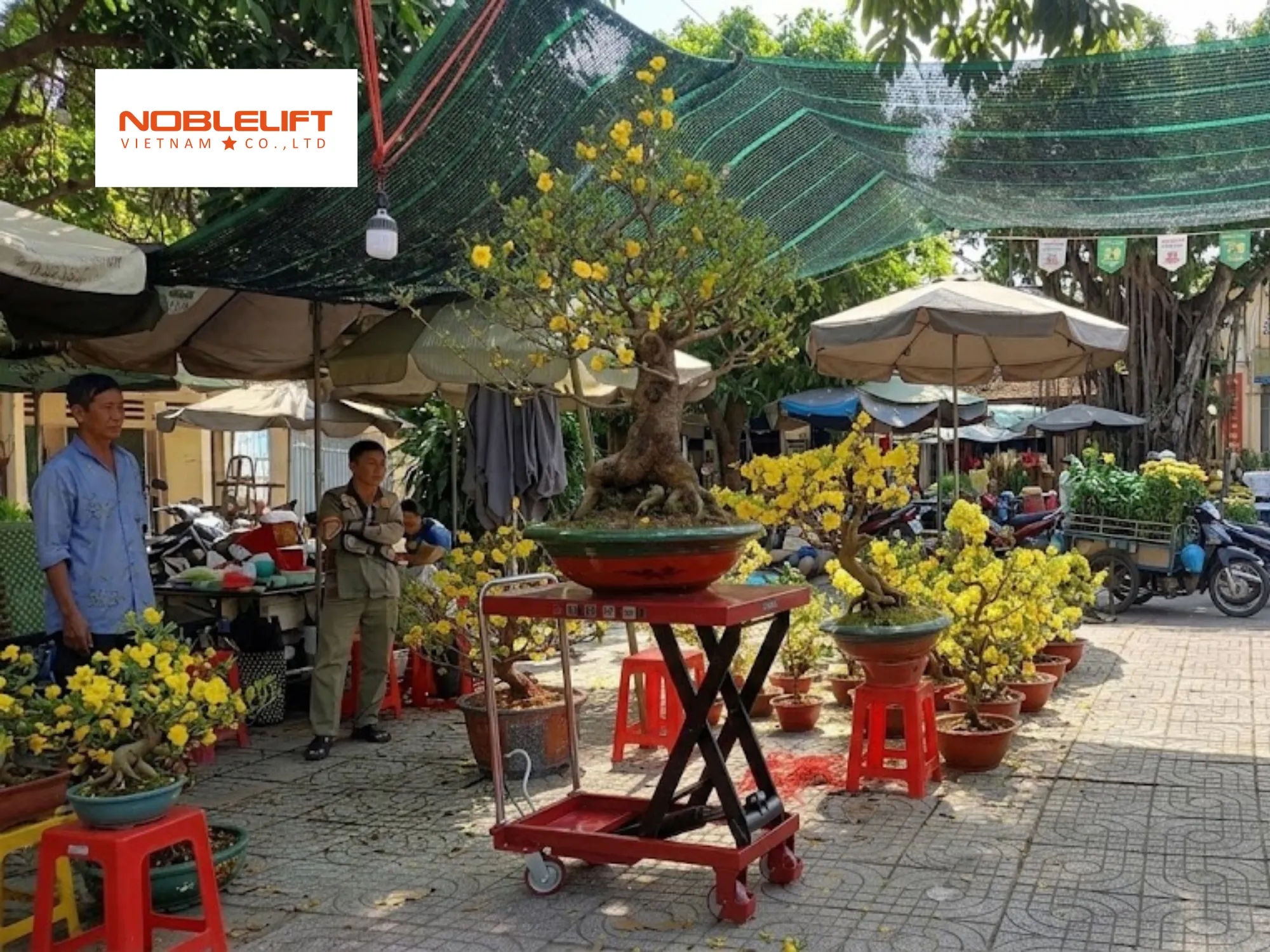 Nâng hạ đôn chậu kiểng thuộc nhóm ứng dụng tuyệt vời của xe nâng mặt bàn thực tế