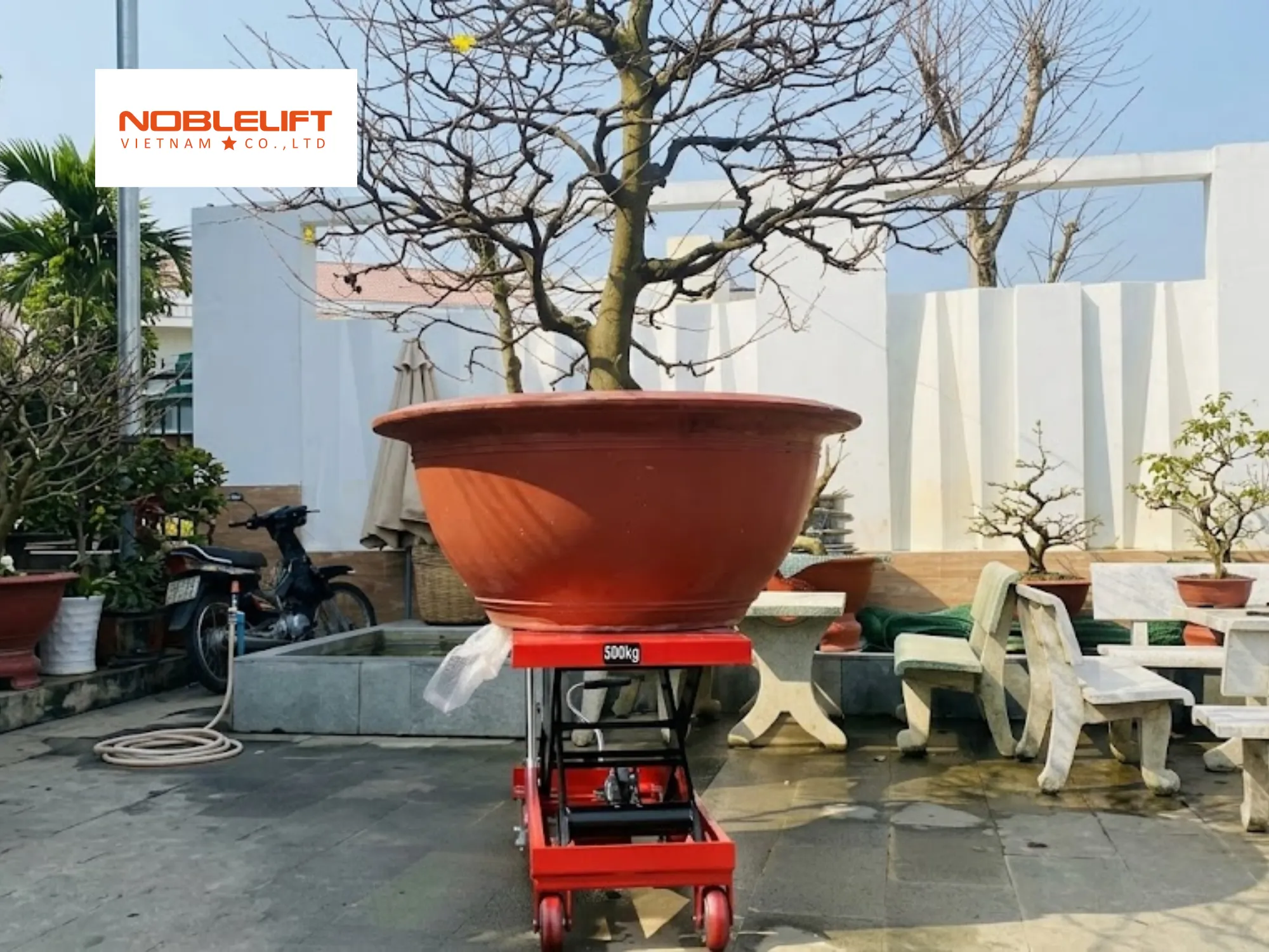 Sắp xếp bầu ươm giống là ứng dụng tuyệt vời của xe nâng mặt bàn tại kho phân loại