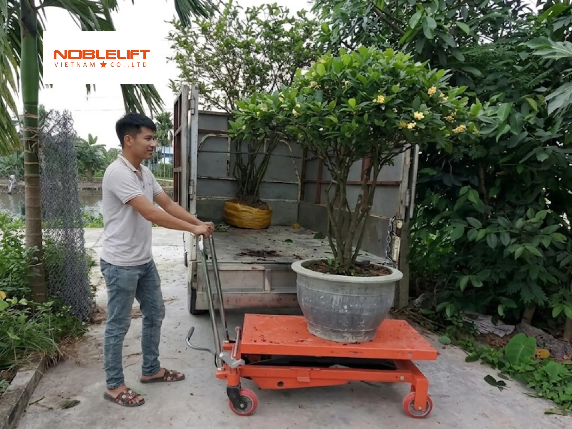 Xác định tải trọng khi chọn xe nâng mặt bàn chở cây cảnh chậu lớn