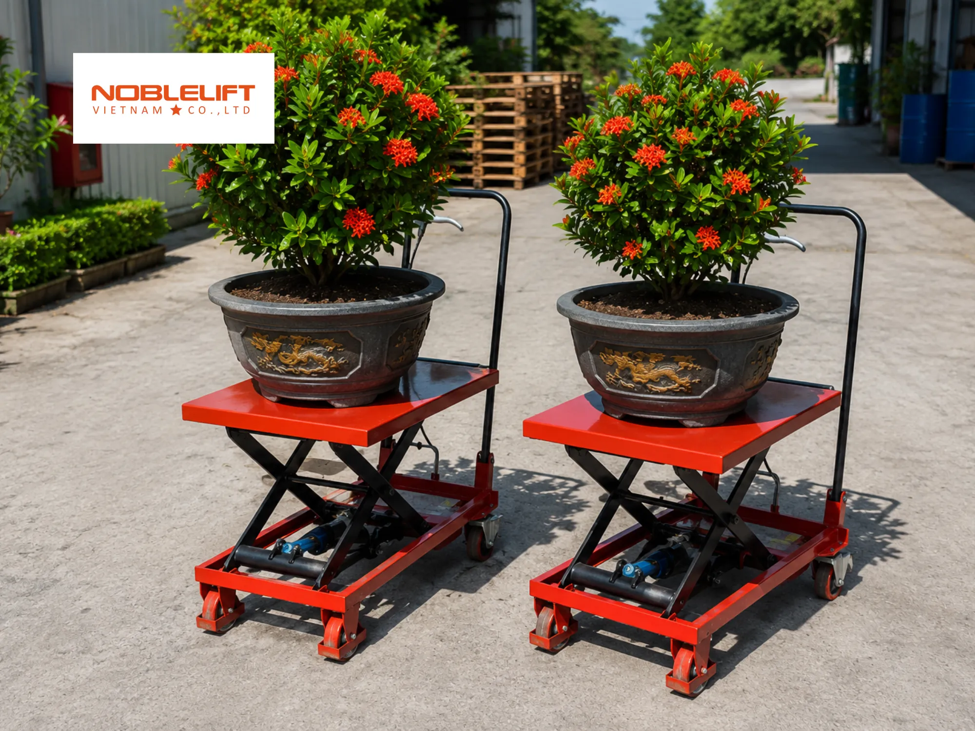 Đánh giá mặt bàn khi chọn xe nâng mặt bàn chở cây cảnh chậu lớn
