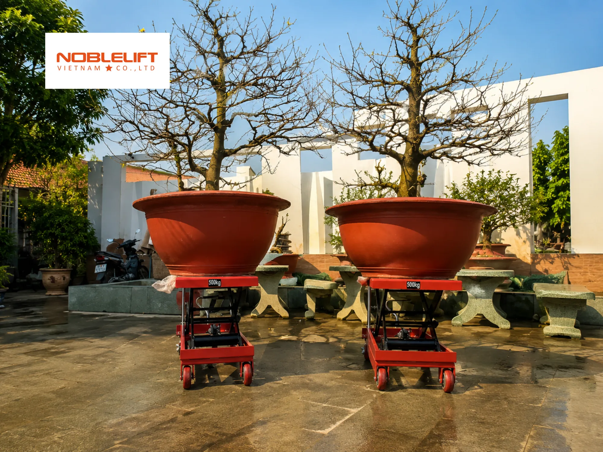 Kiểm tra chiều cao khi chọn xe nâng mặt bàn chở cây cảnh chậu lớn
