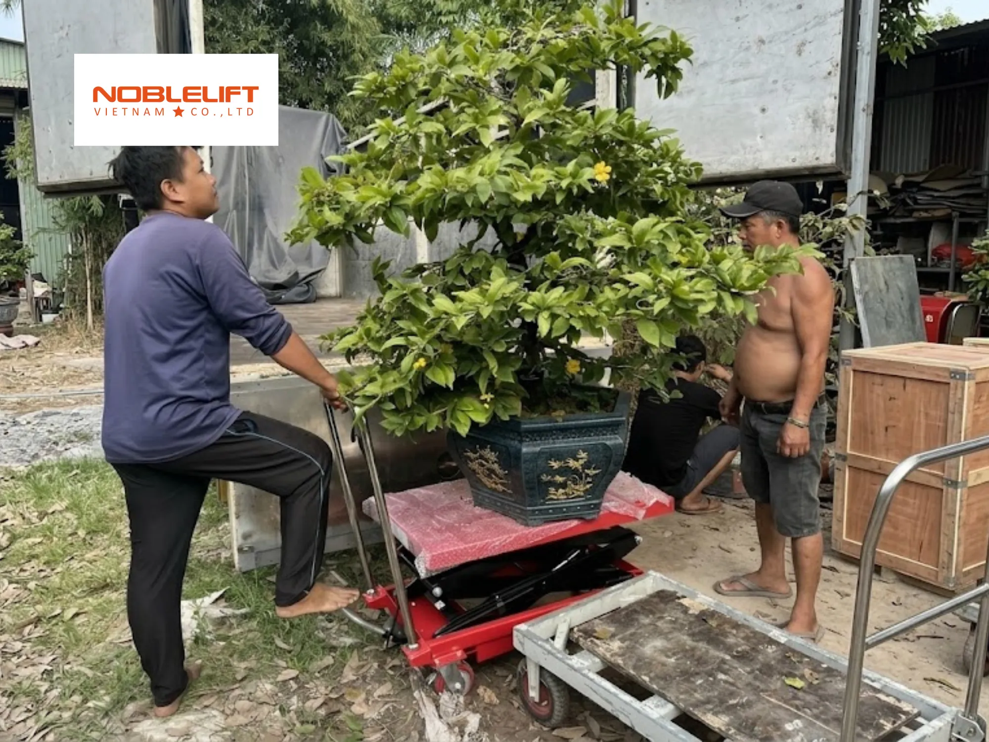 Lựa chọn bánh xe khi chọn xe nâng mặt bàn chở cây cảnh chậu lớn